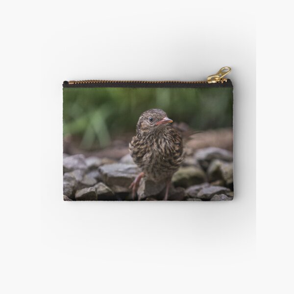 Item preview, Juvenile Dunnock in the garden designed and sold by Kipcio.