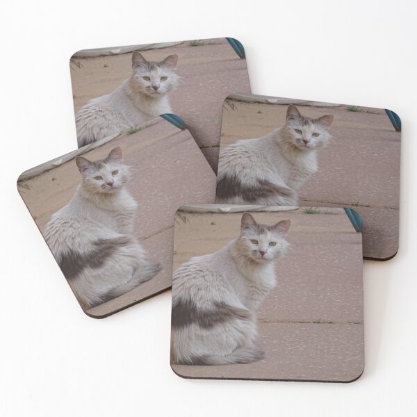 Item preview, Cat, Cats canvas, Cat apron, Cat puzzle, Cat greeting card  designed and sold by PicsByMi.