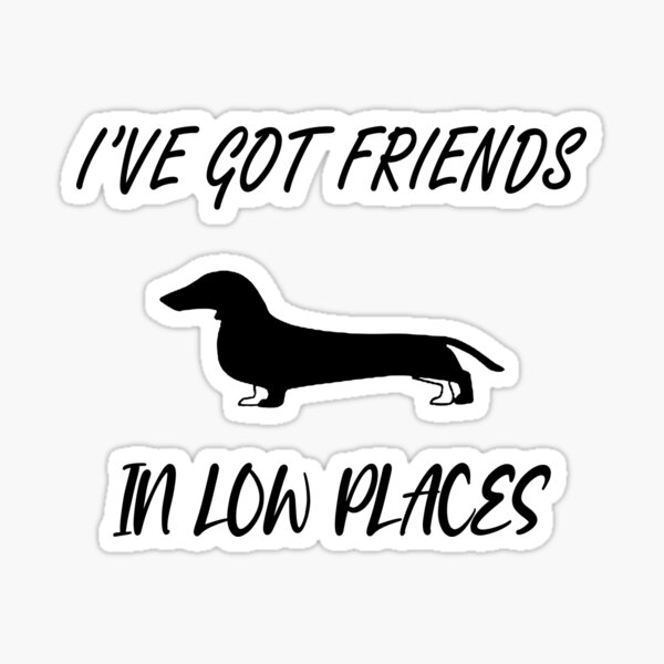 Download Friends In Low Places Stickers Redbubble