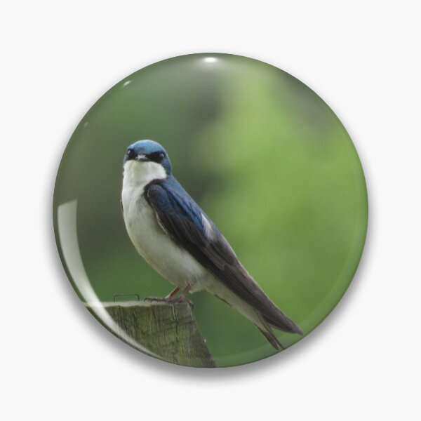 Item preview, jaunty tree swallow designed and sold by UpTowardTheSky.