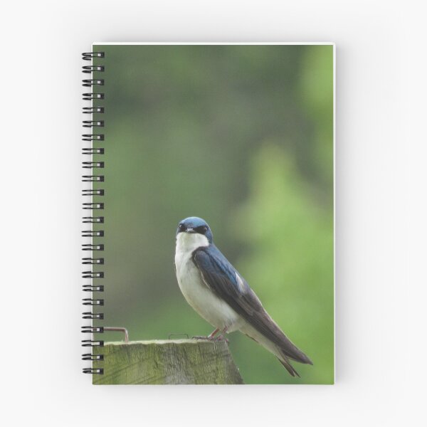 Item preview, jaunty tree swallow designed and sold by UpTowardTheSky.