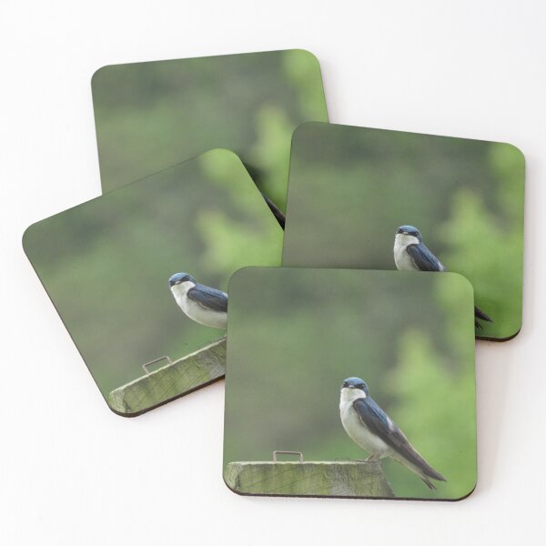 Item preview, jaunty tree swallow designed and sold by UpTowardTheSky.
