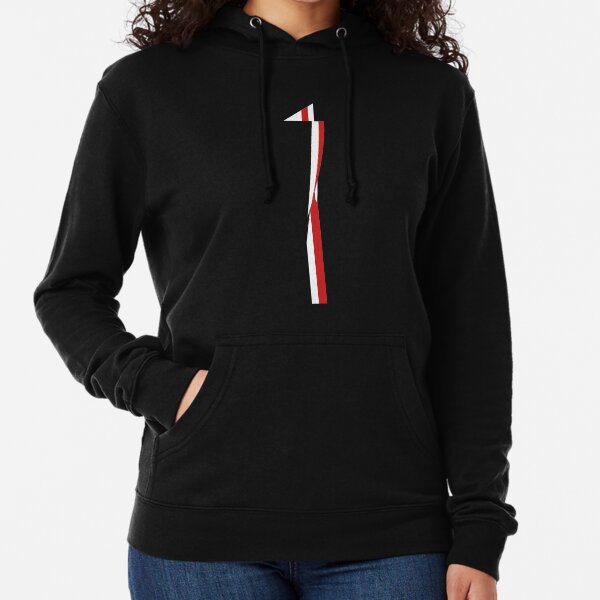 Steely Dan Minimalist Aja Lightweight Hoodie
