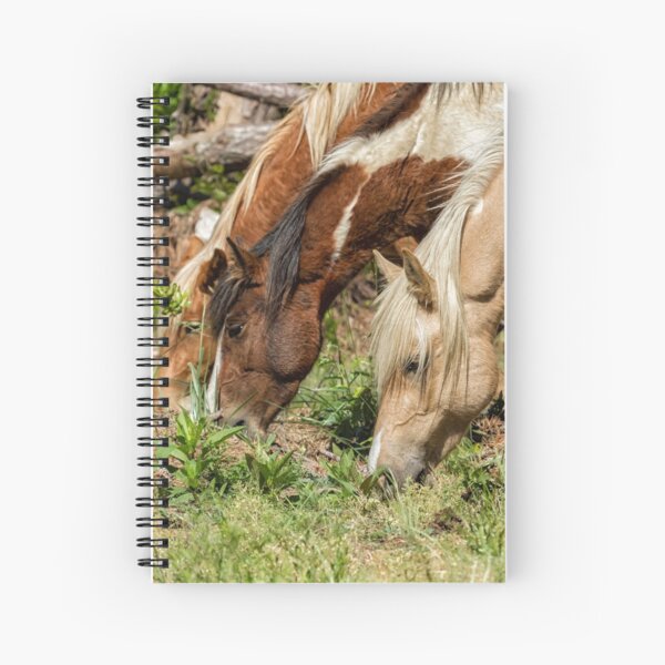 Item preview, Three Amigos designed and sold by Belinda Greb Photography.