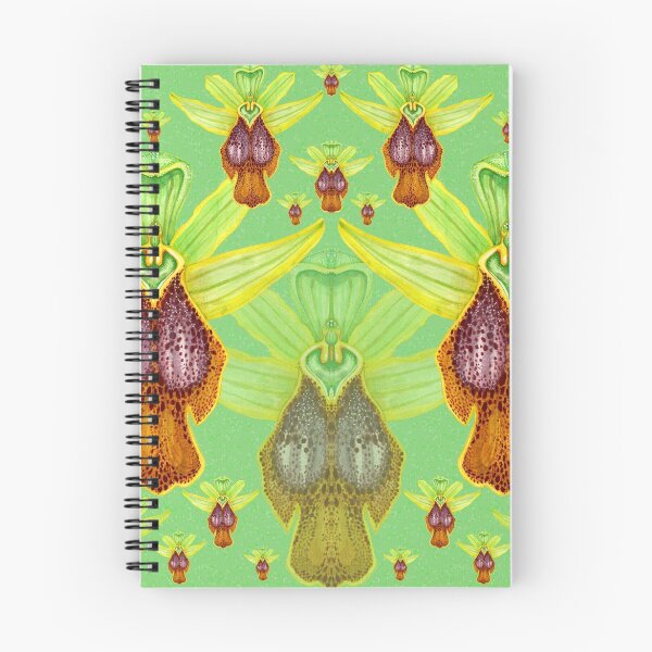 Item preview, Ophrys parosica designed and sold by joancaronil.