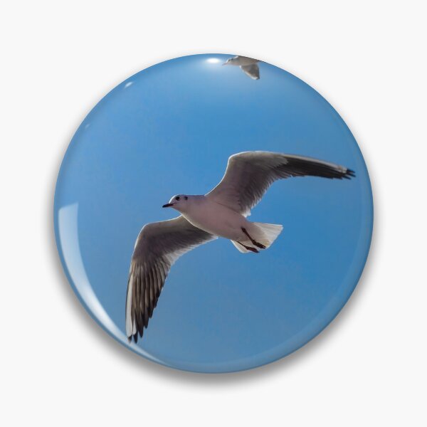 Item preview, Seagulls captured flying designed and sold by Hunterboyxo.