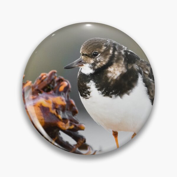 Item preview, Ruddy Turnstone designed and sold by Ryan  Ten.