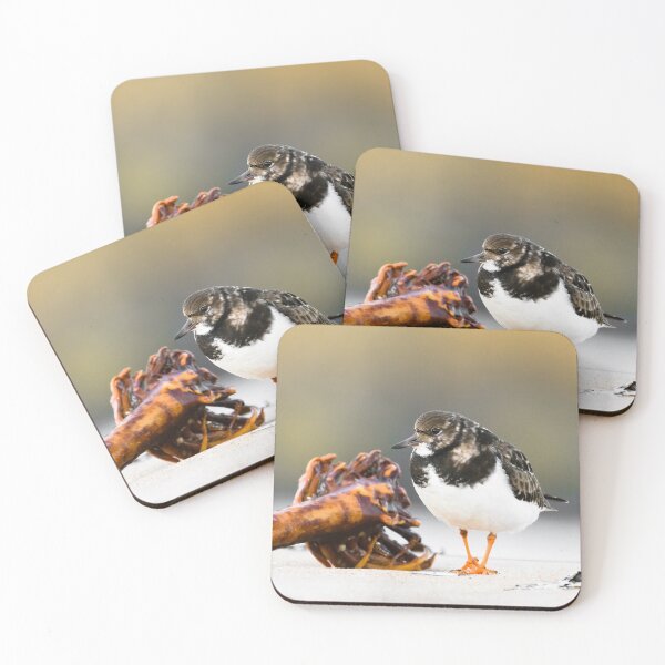 Item preview, Ruddy Turnstone designed and sold by Ryan  Ten.