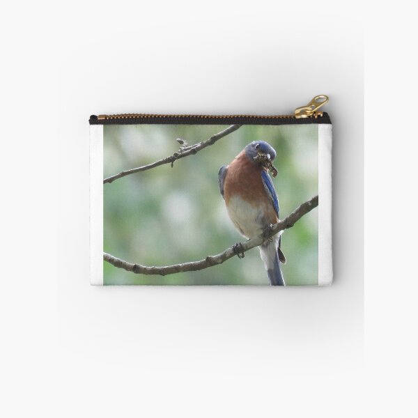 Item preview, Male Eastern bluebird  designed and sold by MaryAnnEnsz.