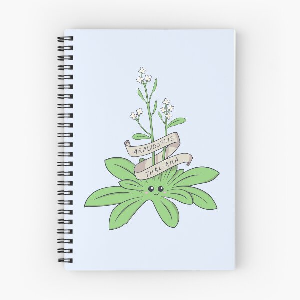 Item preview, Cute Arabidopsis thaliana plant designed and sold by cutescience.