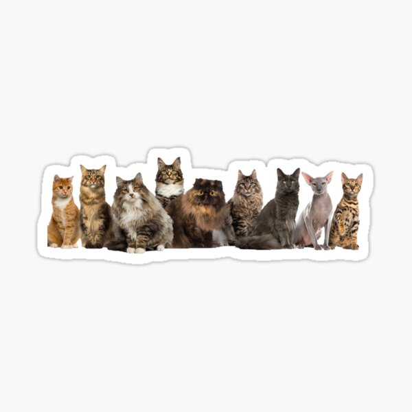 Item preview, A line of Cats designed and sold by boojun.