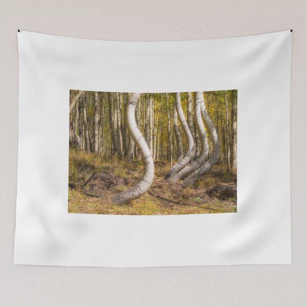 Item preview, Dancing Aspens designed and sold by Alla Gill.
