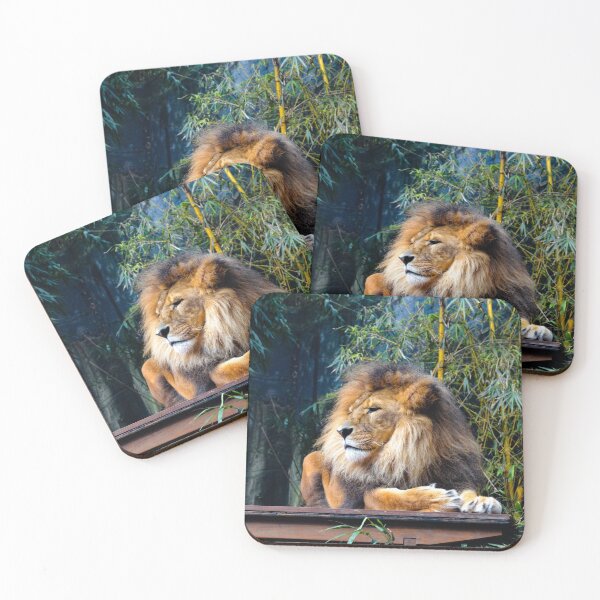 Item preview, Zoo Lounging Lion Cat designed and sold by Alladin7.