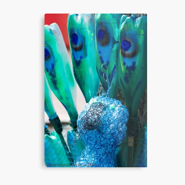 Recycled Peacock at Kettfest2015 Metal Print