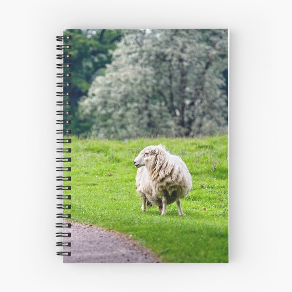 Item preview, Sheep designed and sold by jasminewang.