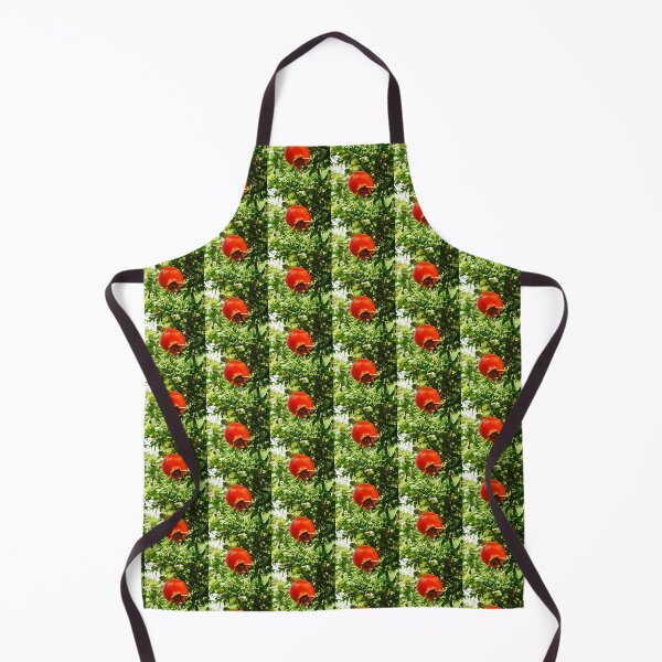 Item preview, Red Pomegranate photo  by Iritof designed and sold by iritof.