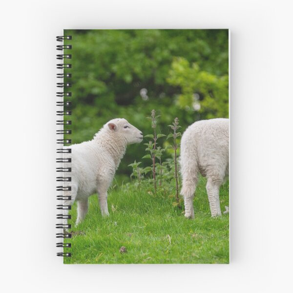 Item preview, Sheep designed and sold by jasminewang.