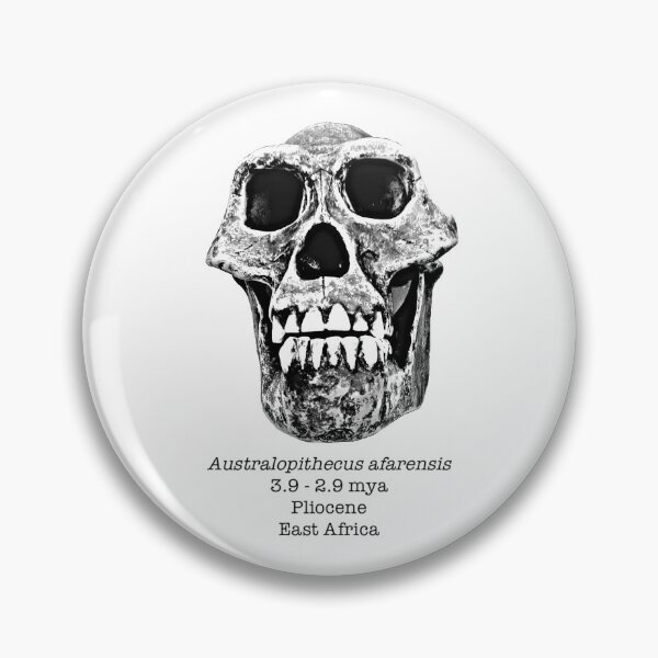 Item preview, Australopithecus afarensis designed and sold by SnazzyScience.
