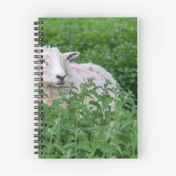Item preview, Sheep designed and sold by jasminewang.
