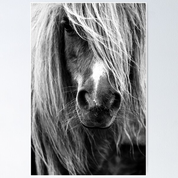 Item preview, Portrait of a Shetland Pony designed and sold by Zinanigans.