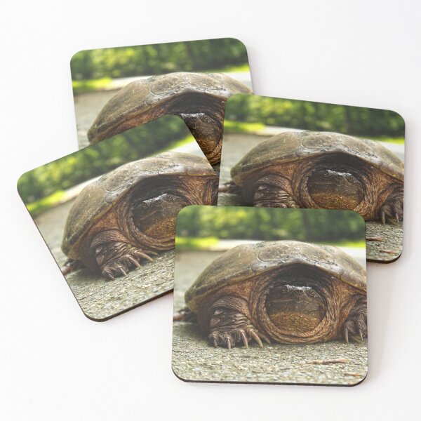 Item preview, Large Turtle designed and sold by JohnArehart.