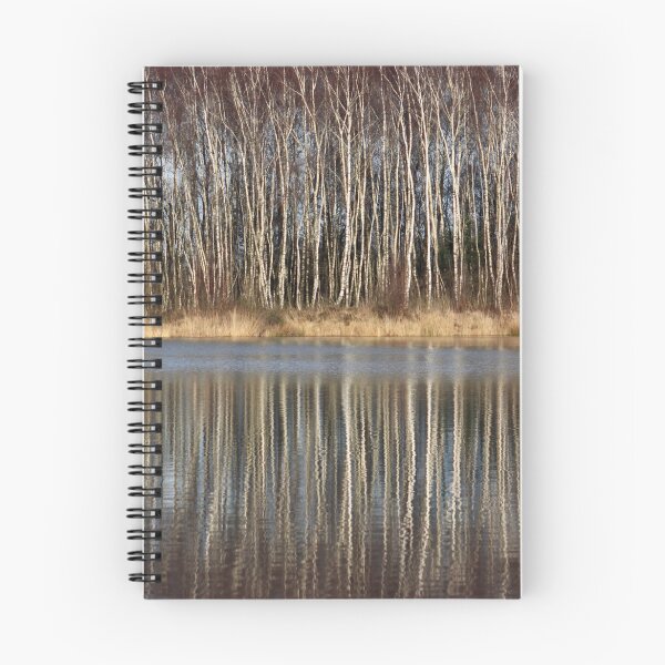 Item preview, Silver Birch Reflections designed and sold by Jo Nijenhuis.