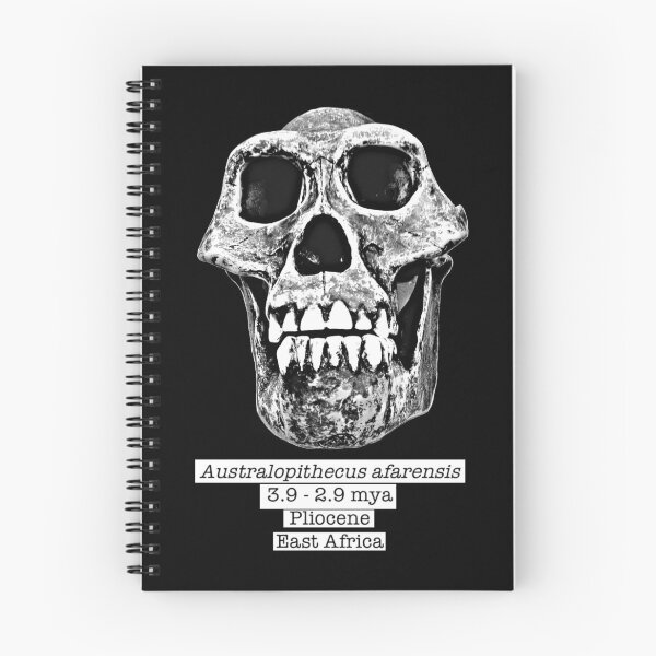 Item preview, Australopithecus afarensis (black bg) designed and sold by SnazzyScience.