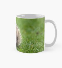 Igel Tasse (Standard)