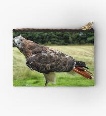 Red Tailed Hawk Studio Pouch