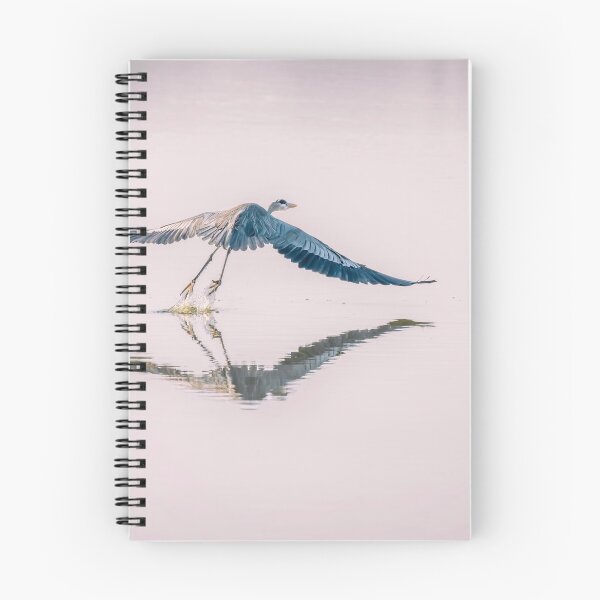 Item preview, Great Blue Heron Takes Flight designed and sold by PhotoArt by Joan Carroll.