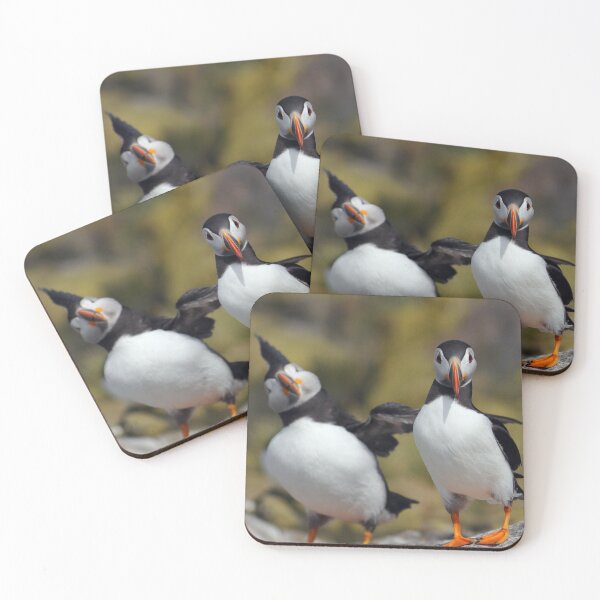 Item preview, Puffins designed and sold by fensnapz.