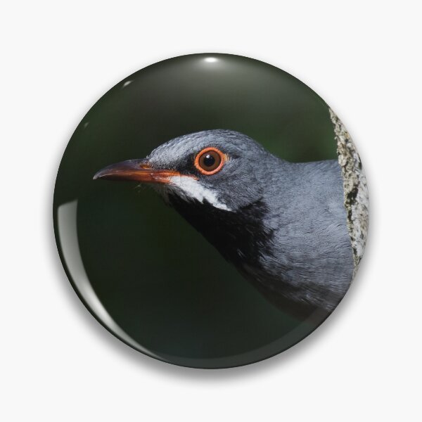 Item preview, Merodear designed and sold by Jukka Jantunen.