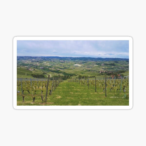 Item preview, Vineyards around Barolo, Piedmont, Italy designed and sold by wineandwords.