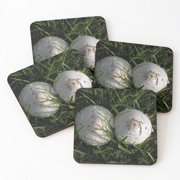 Item preview, Two Mushrooms in the grass. designed and sold by JohnArehart.