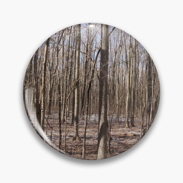 Item preview, Bare trees in the woods designed and sold by JohnArehart.