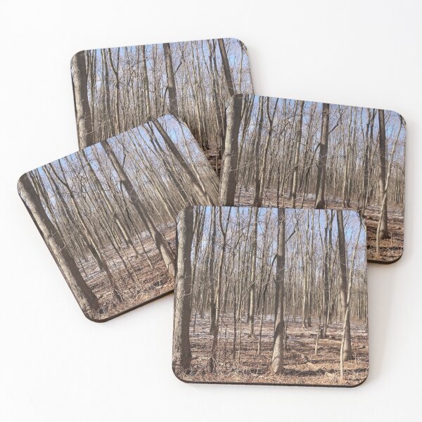 Item preview, Bare trees in the woods designed and sold by JohnArehart.