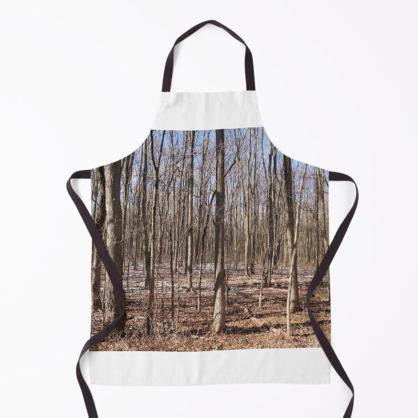 Item preview, Bare trees in the woods designed and sold by JohnArehart.