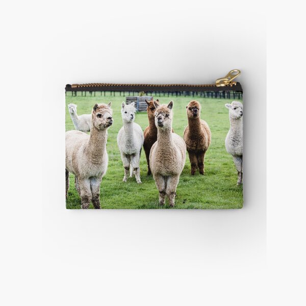 Item preview, Alpacas, Victoria, Australia designed and sold by jennyjones.