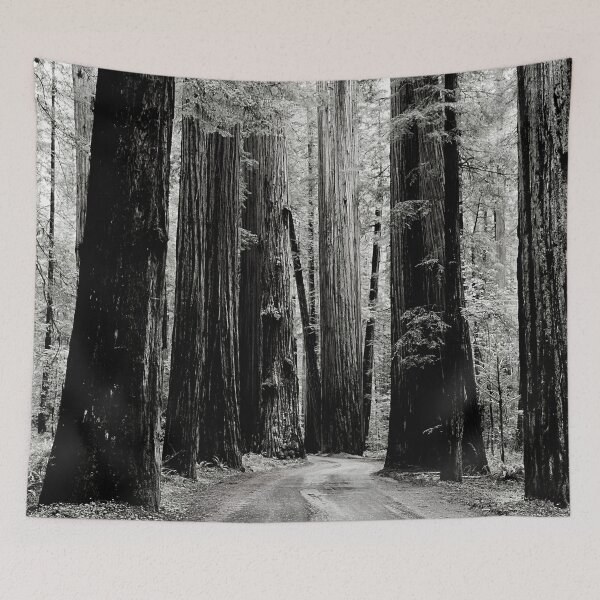 Item preview, California Redwood designed and sold by rodelyn.