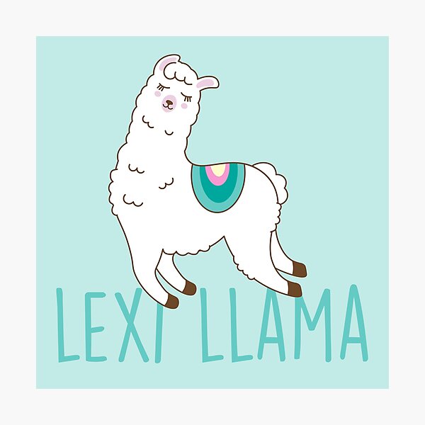 lexi hensler merch llama