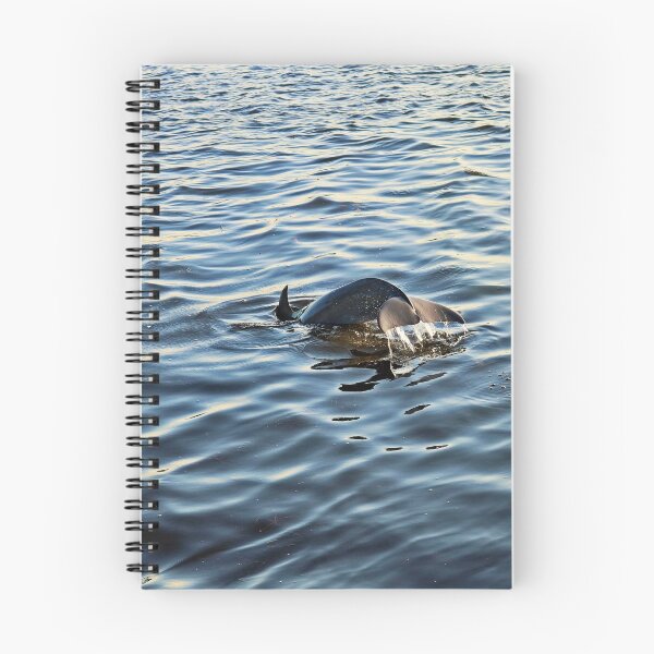 Item preview, Dolphin Tail designed and sold by Michiale.