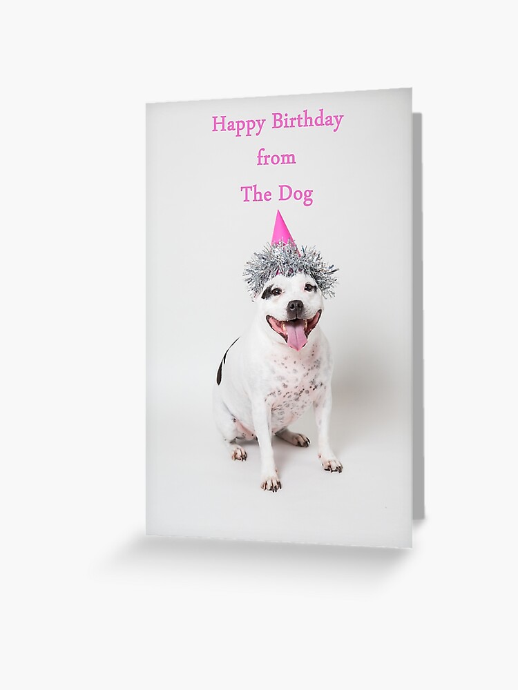 Carte De Vœux Joyeux Anniversaire Du Chien Par Penel Redbubble