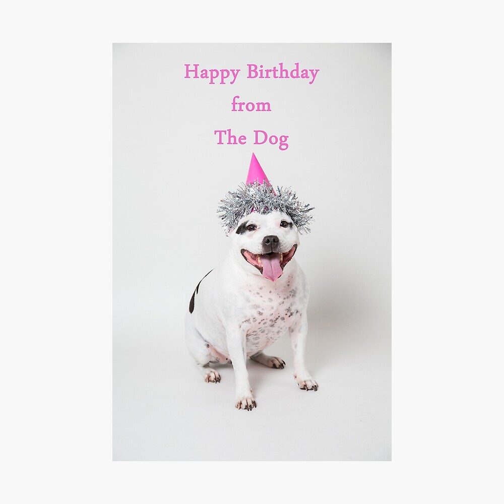 Poster Joyeux Anniversaire Du Chien Par Penel Redbubble