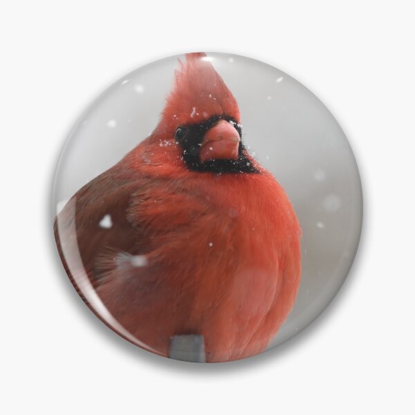 Item preview, Plump Red Cardinal Bird designed and sold by Alladin7.