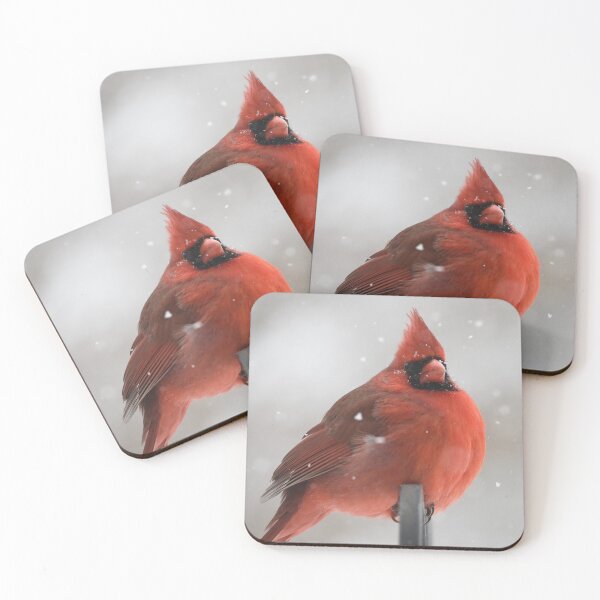 Item preview, Plump Red Cardinal Bird designed and sold by Alladin7.
