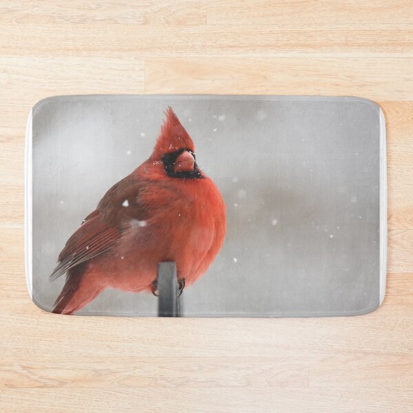Item preview, Plump Red Cardinal Bird designed and sold by Alladin7.