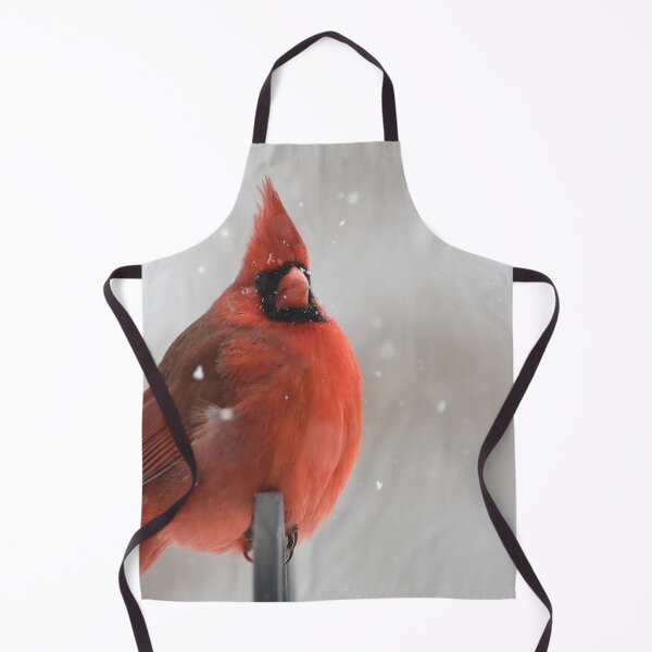 Item preview, Plump Red Cardinal Bird designed and sold by Alladin7.