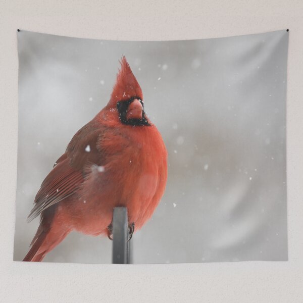 Item preview, Plump Red Cardinal Bird designed and sold by Alladin7.