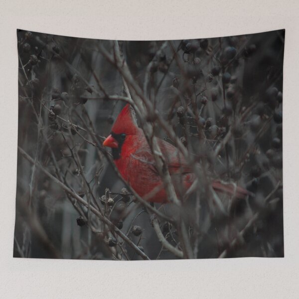 Item preview, Red Cardinal Bird Watching designed and sold by Alladin7.