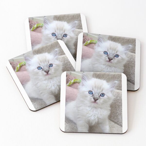 Item preview, Ragdoll kitten designed and sold by Fluffycat2020.